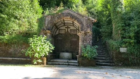 Beautiful, ancient, stone arch in the middle of the forest Video stock 138086756