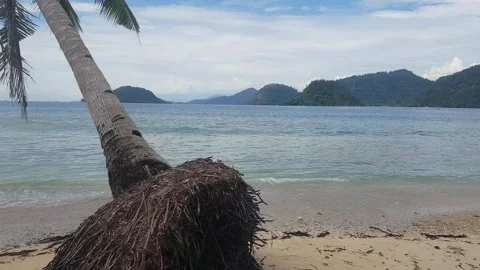 Beautiful and clean beach with small wave 스톡 동영상 293947998
