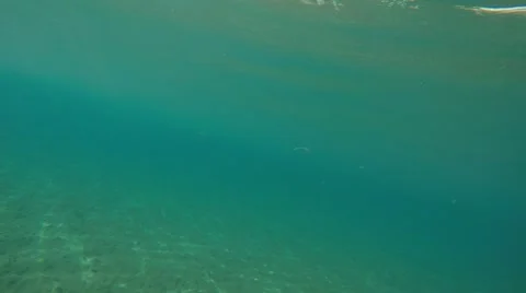 Beautiful and deep sea world Stock Footage 67550080