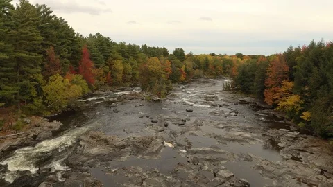 Beautiful and dramatic aerial moving view of wide river in autumn Stock Footage 119189228