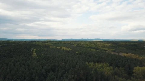 Beautiful and endless forests that were shot by a drone 動画素材 129451107
