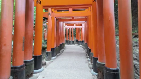 The beautiful and iconic Torii Gates Pathway awaits you in the stunning city of Stock Footage 295207777