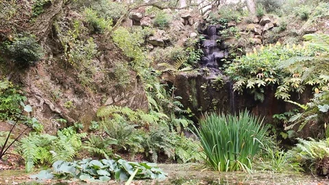 Beautiful and idyllic waterfall surrounded by lush green vegetation in bright Stock Footage 97185832