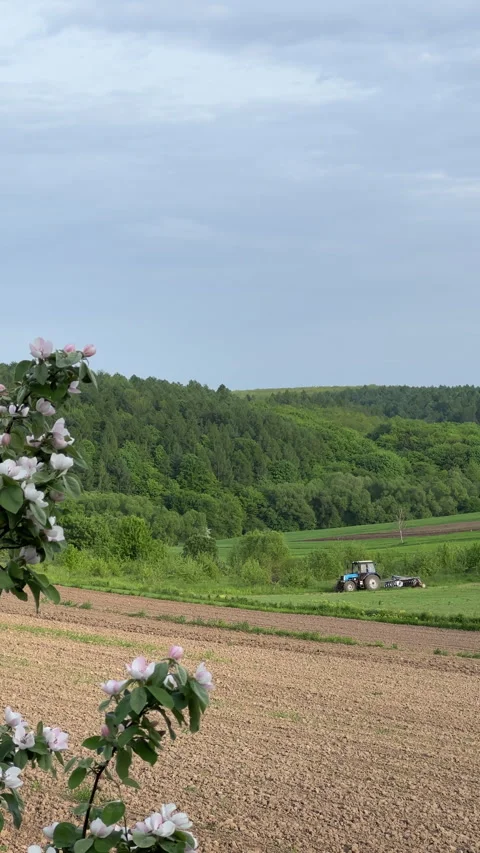 A Beautiful and Scenic Landscape Featuring a Tractor Amidst Lush Greenery and Stock-Footage 306091237
