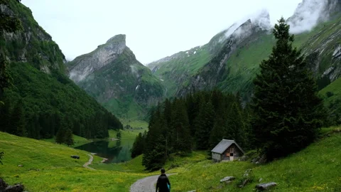 A Beautiful and Scenic Mountain Path That Perfectly Winds Through a Serene, Lush Stock Footage 315967944