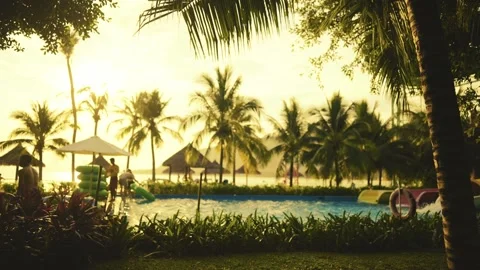 A Beautiful and Scenic Poolside View at Sunset, Showcasing Majestic Palm Trees Stock Footage 310929617