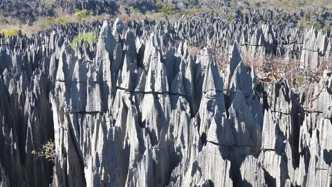 Beautiful and Sharp Limestone Forest Peaks, Tsingy de Bemaraha, Madagascar Stock Footage 117316330
