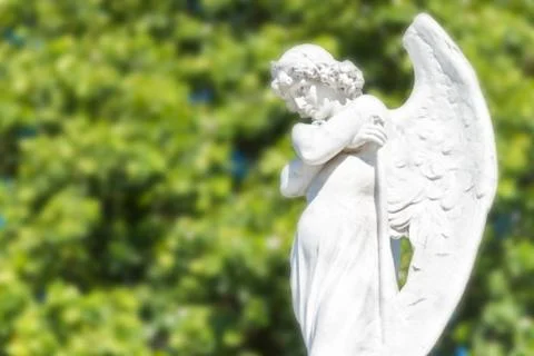 Beautiful angel on a diffused trees background Stock Photos