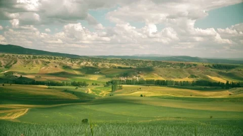 Beautiful angles from the wheat fields 4K Stock Footage 157655828