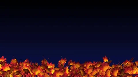 Beautiful Animated Background of Autumn Falling Leaves Stock Footage 109228488