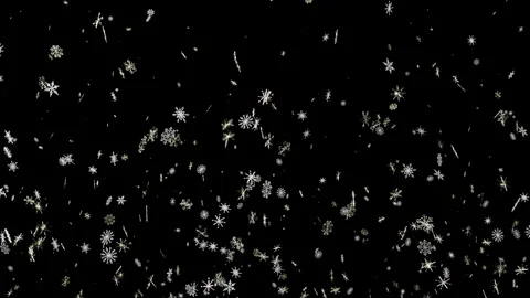 Beautiful animated falling snow particles dark background winter 스톡 동영상 344295422