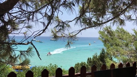 Beautiful Ans Idyllic Beach Behind Trees From High Angle Stock Footage 110749676
