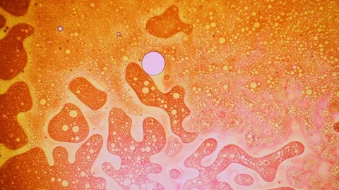 Beautiful appearing pattern liquid motion background Stock Footage 127866759