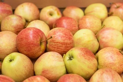 Beautiful appetizing fruit background with apples in a cardboard box Stock Photos