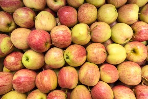 Beautiful appetizing fruit  background with apples Stock Photos
