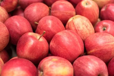 Beautiful appetizing fruit red background with red apples in a cardboard box Stock Photos