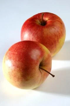 Beautiful apple on a light background Stock Photos