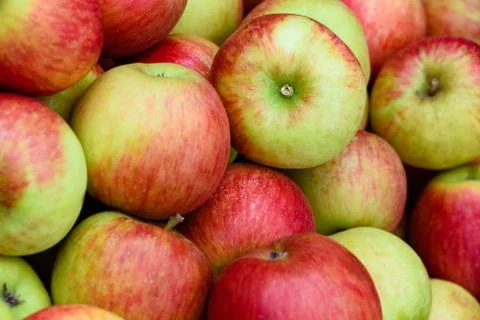 Beautiful apples background Stock Photos