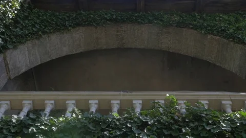 Beautiful arch covered with ivy Stock Footage 71505576