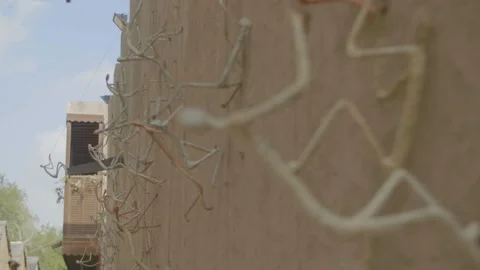 Beautiful architecture in Asia Stock Footage 94271197