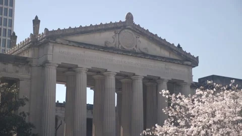 Beautiful architecture with blooming cherry trees Stock Footage 311944329