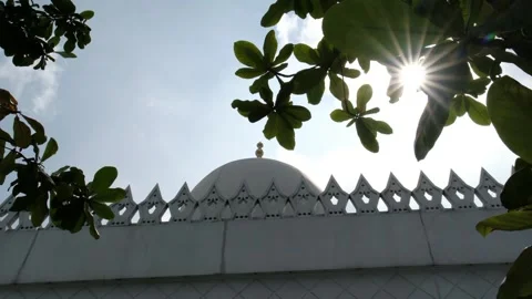 Beautiful architecture of the Sheikh Zayed Mosque Tower in the morning. Stock Footage 309256224
