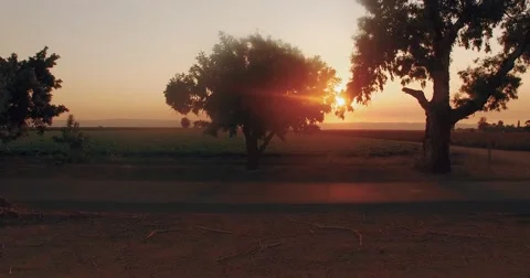 Beautiful arial view of the plantation Video stock 67876220