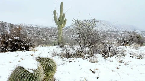 Beautiful Arizona Snow Scenic Stock Footage