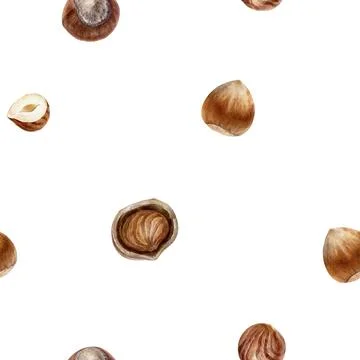 A beautiful arrangement of scattered hazelnut shells placed on a white 스톡 일러스트