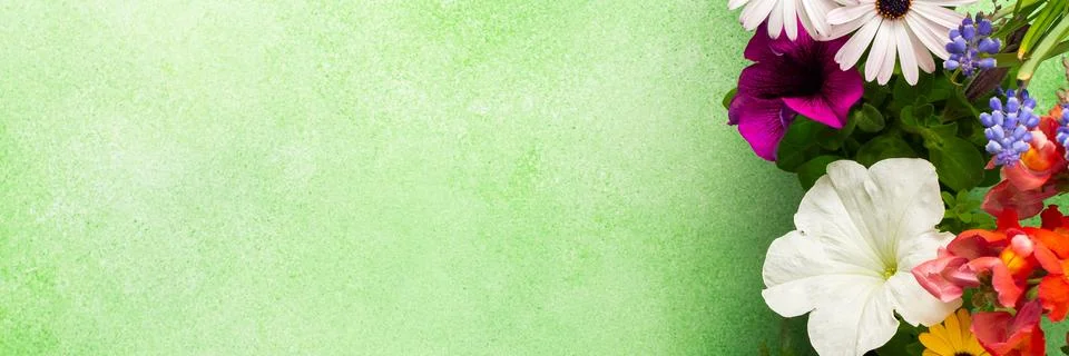 A beautiful array of spring flowers in various colors adorns a balcony, bri.. Fotos de archivo