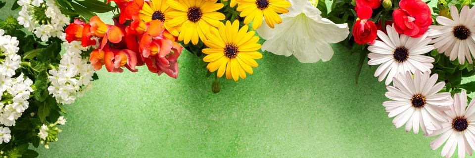 A beautiful array of spring flowers in various colors adorns a balcony, bri.. Fotos de archivo