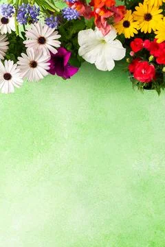 A beautiful array of spring flowers in various colors adorns a balcony, bri.. Foto stock