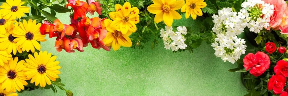 A beautiful array of spring flowers in various colors adorns a balcony, bri.. Foto stock