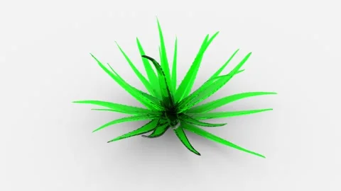 A beautiful art object in the form of a bush of aloe vera made of transparent Stock Footage 154880406
