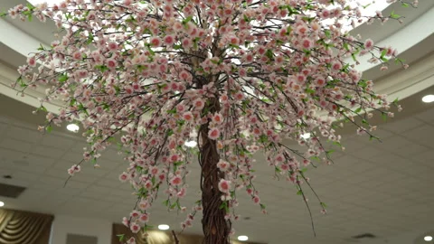 Beautiful artificial cherry blossom tree displayed inside a bright elegant h Stock-Footage 335270848