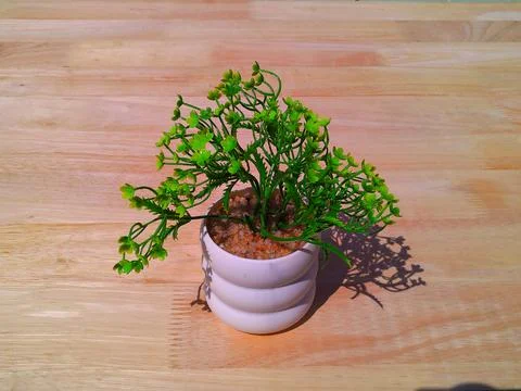 Beautiful artificial decorative tree on the table Stock-Fotos