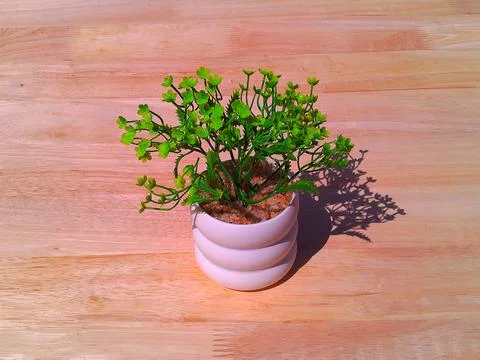 Beautiful artificial decorative tree on the table 스톡 사진
