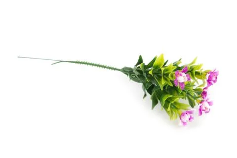 Beautiful artificial flower Fotos Stock