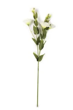 Beautiful artificial flower Stockfoto's