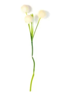 Beautiful artificial flower Fotos Stock