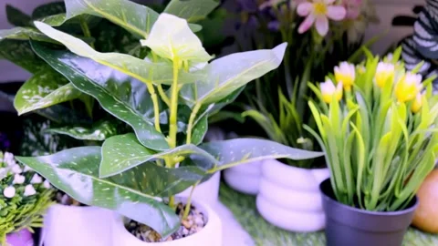 Beautiful Artificial Flowers for Home Decoration Stock Footage 335378564