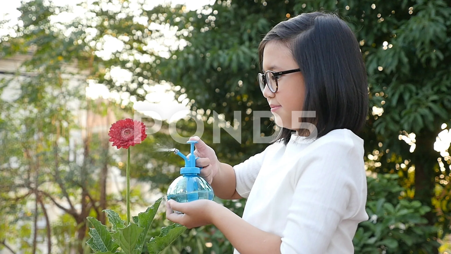 Beautiful Asian girl wearing glasses watering a red flower in the  garden,slow mo