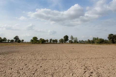 Beautiful atmosphere empty field. Stock Photos