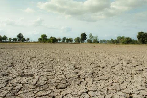 Beautiful atmosphere empty field. Stock Photos
