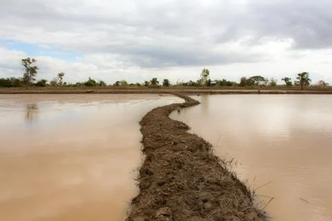 Beautiful atmosphere empty field. Stock Photos