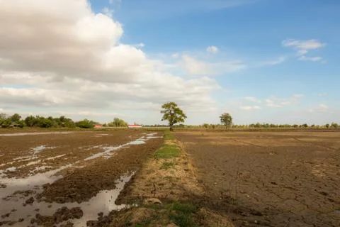 Beautiful atmosphere empty field. Stock Photos