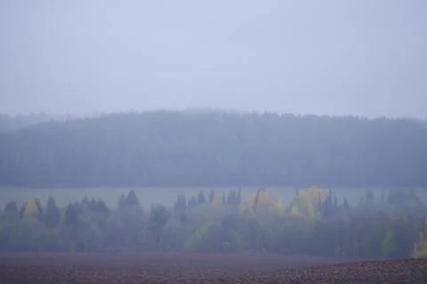 A beautiful atmospheric autumn landscape, trees in the distance, fog everywher Stock Photos