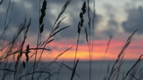 Beautiful august sunset over the Baltic Sea Stock Footage 139463726