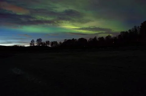 Beautiful aurora borealis dancing over dark autumn forest Foto stock