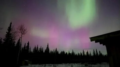 Beautiful aurora borealis over a tranquil forest. Stock Footage 310029909